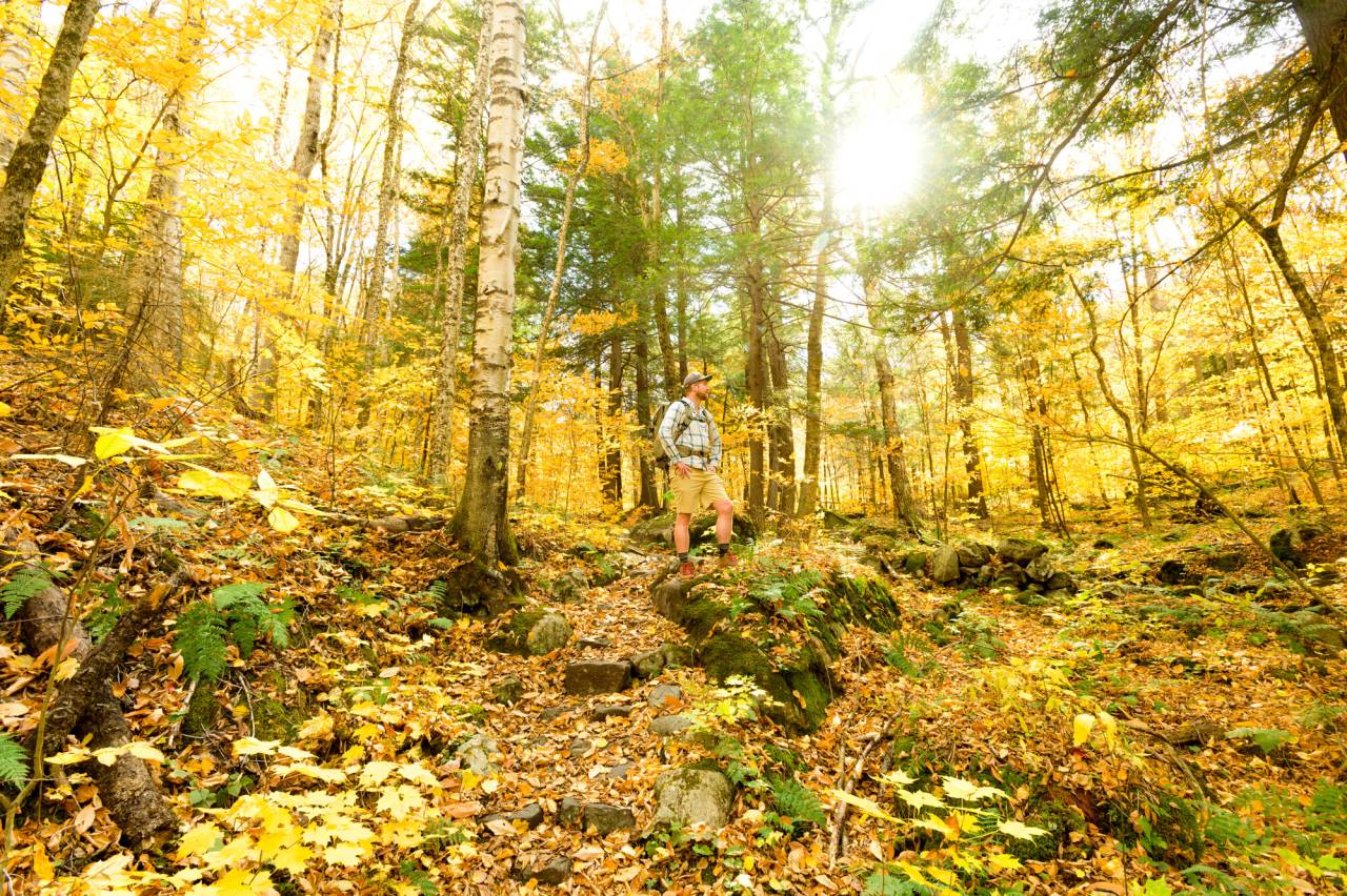 Hikers going up Scarface in the fall