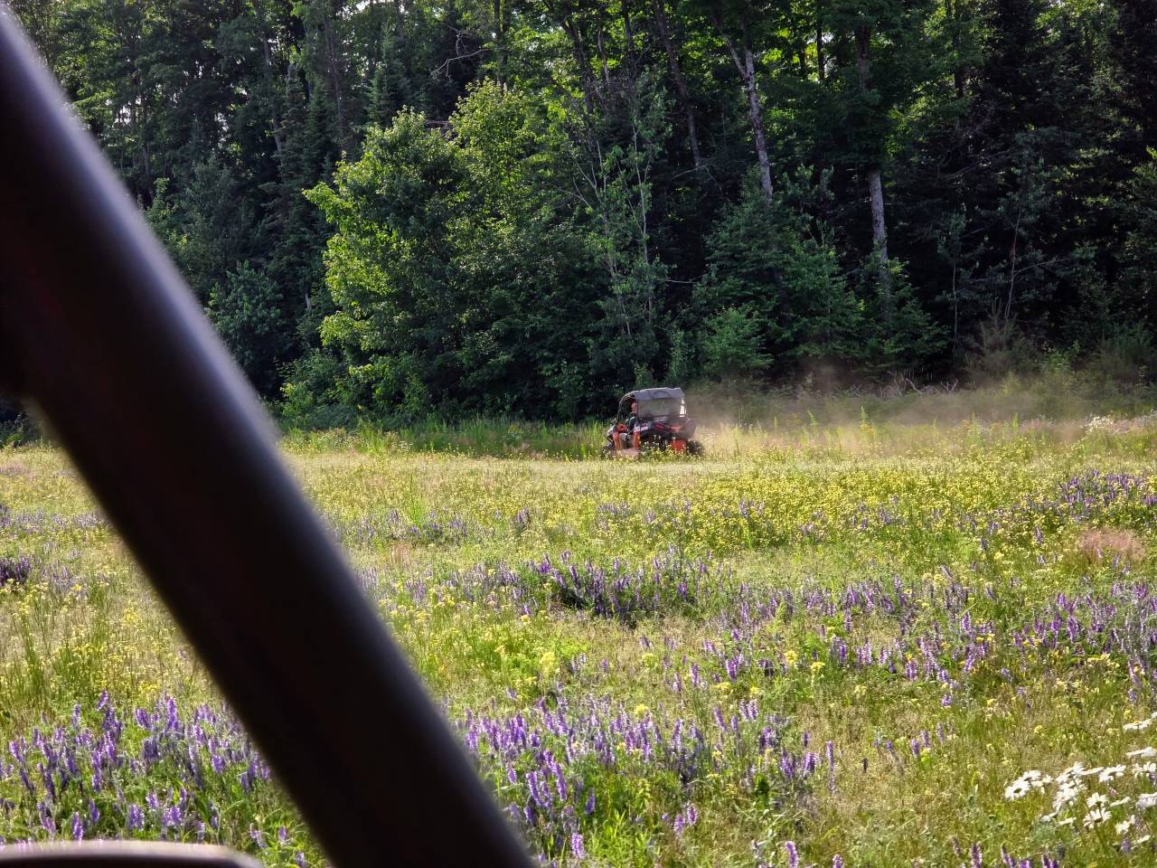 UTV driving through a field of purple wildflowers