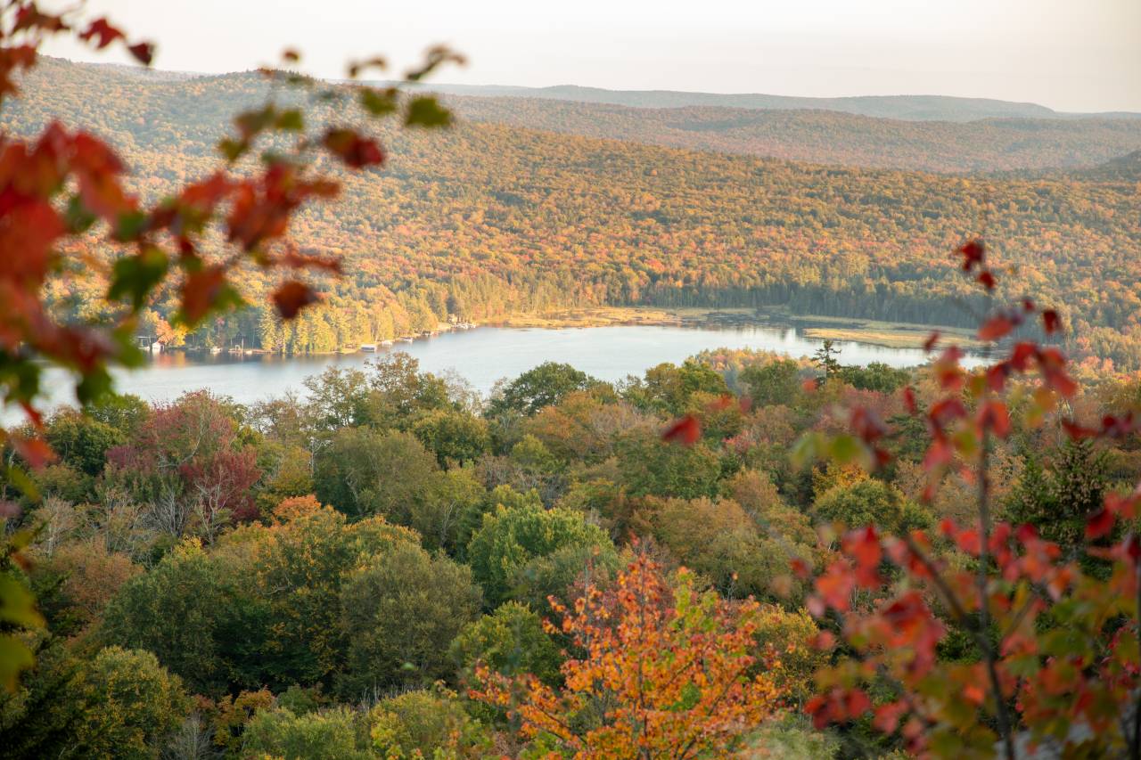An aerial view of an autumn forest and a lake.