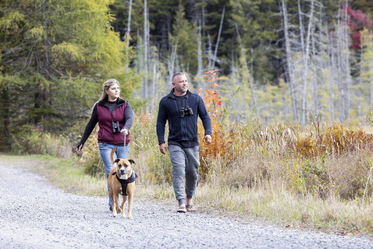 A man and woman go birding among fall marshland.
