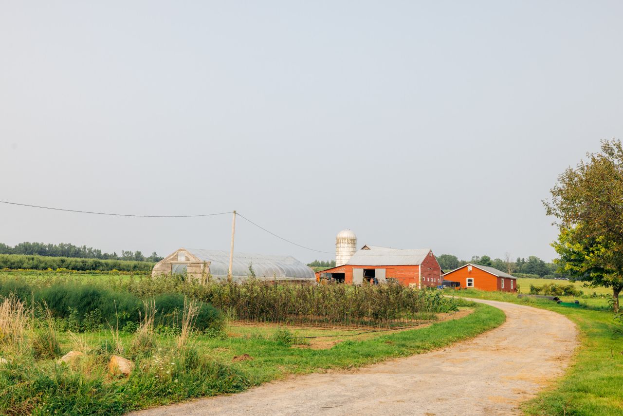 A dirt road leads up to a farm. 