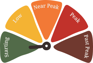 fall gauge