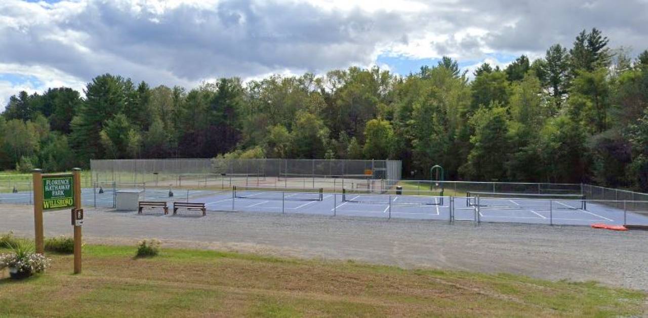 Blue pickleball courts at a park in the countryside. 