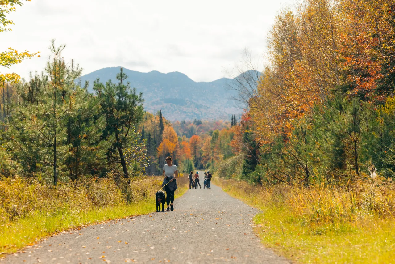 A woman walks her dog on a fall trail with a mountain range in the background. 