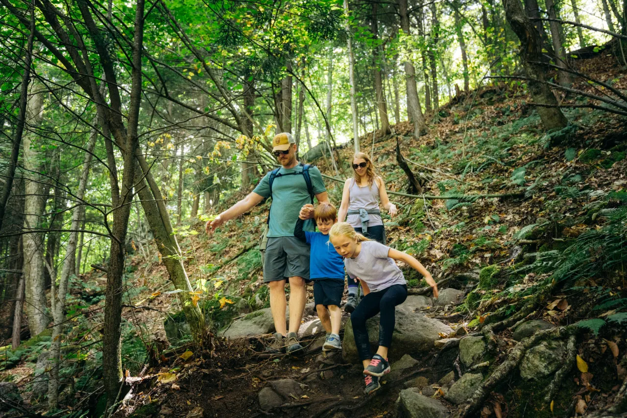 Mother, father, daughter, and son in summer hiking clothes hike down a hill in a green forest