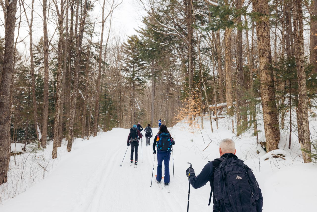 A group of people cross-country ski along a snowy trail.