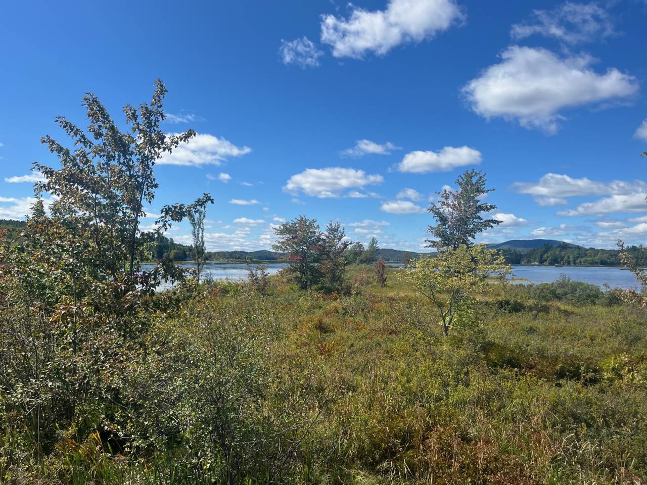 Saranac Lake's fall foliage beginning.