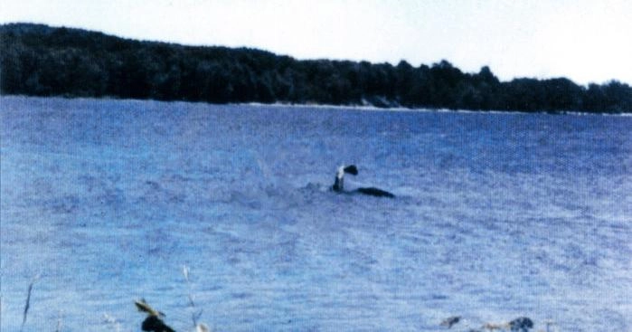 A vintage color photo purporting to show a lake monster in Lake Champlain.
