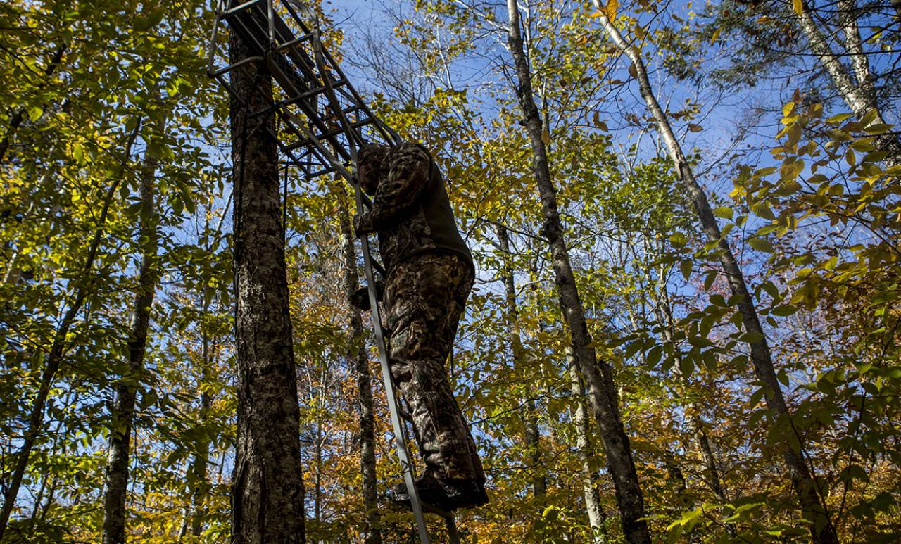 A person hunting from a treetop.