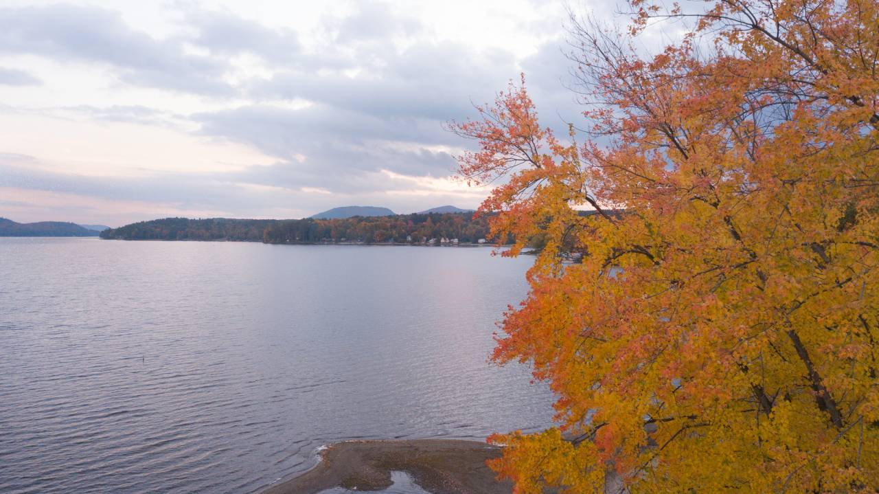 A lake in fall. 
