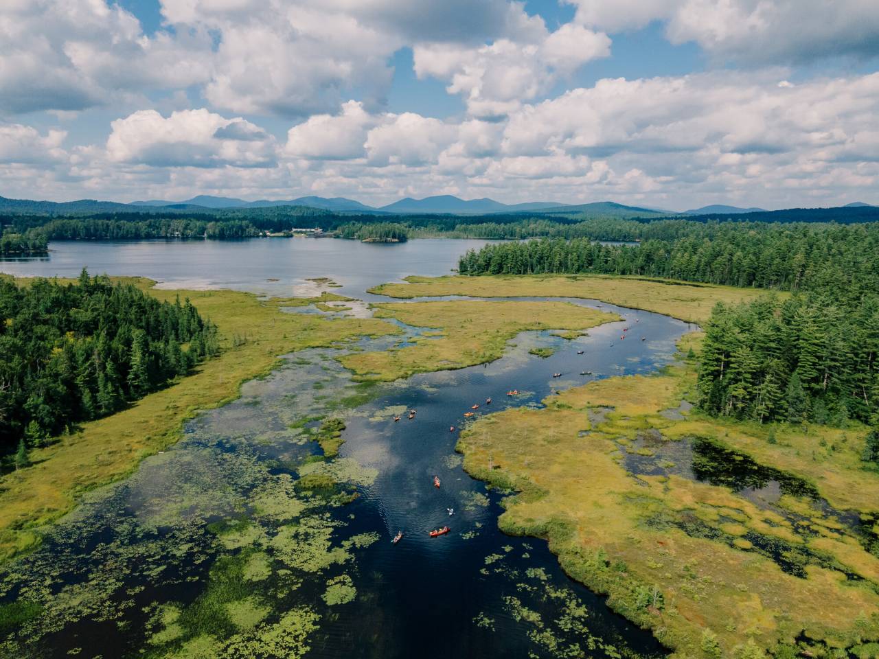 A ton of paddlers on a winding stretch of water