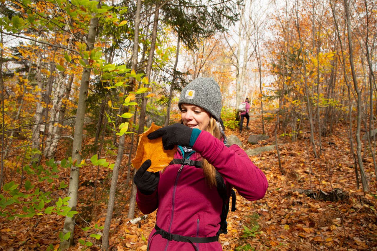 A woman looks at an orange maple leaf in fall.