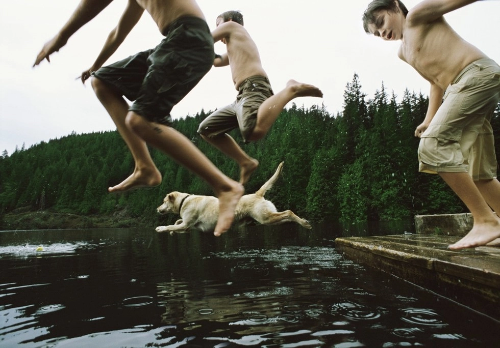 Kids and a dog jump from a dock into the water