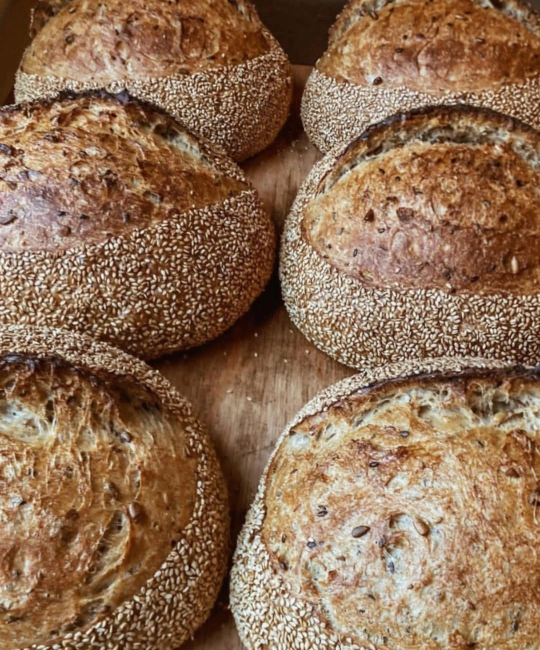 many loaves of bread