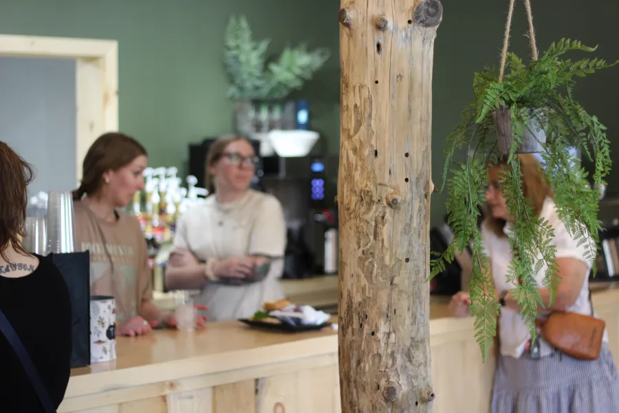 Rustic beams supports with hanging plants and a view of people conversing at the front counter.