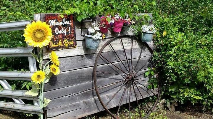 A wooden fence with flower planters hanging from the top with a sign reading "members only, thank you!"