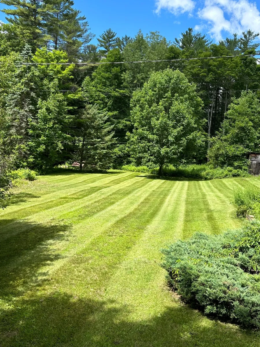 lawn mowed